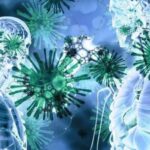 В Китае выявили новый эпицентр заражения коронавирусом