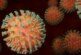В расследовании происхождения коронавируса вскрылись неприглядные обстоятельства