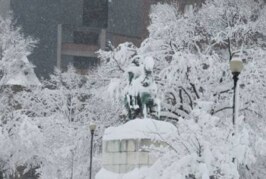 Тысячи авиарейсов отменили в США из-за снежной бури — РИА Новости, 17.01.2022